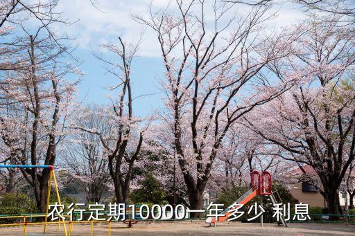 農(nóng)行存一萬元兩年多少利息,一萬元存兩年2.6多少