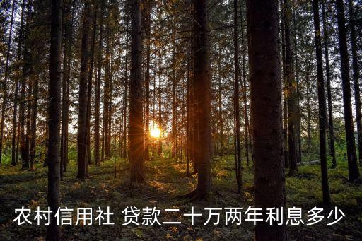 農(nóng)村信用社 貸款二十萬兩年利息多少