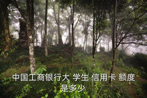中國(guó)工商銀行大 學(xué)生 信用卡 額度是多少