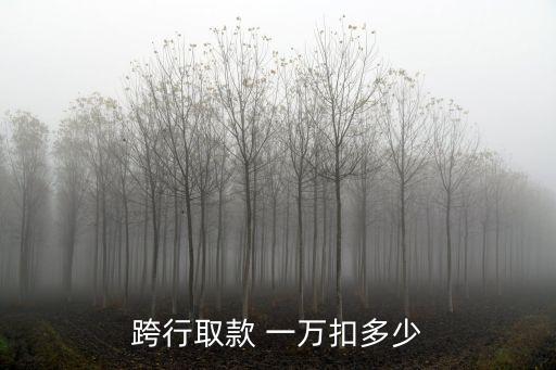 跨行取款 一萬扣多少