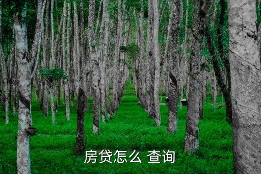 房貸怎么 查詢