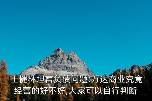 王健林貸款多少,萬王健林現(xiàn)在有多少錢