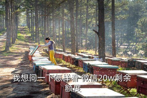 怎么查詢微信額度多少,微信怎么查詢違章
