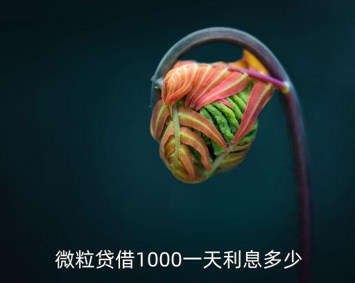  微粒貸借1000一天利息多少