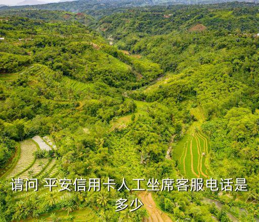 重慶市平安卡電話號(hào)碼是多少,平安信用客服卡電話號(hào)碼