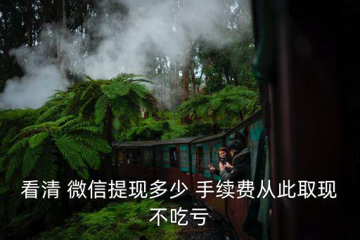 微信手續(xù)費(fèi)多少封頂,微信提現(xiàn)100萬(wàn)手續(xù)費(fèi)封頂嗎