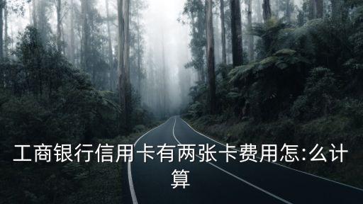 牡丹準貸卡年費多少錢
