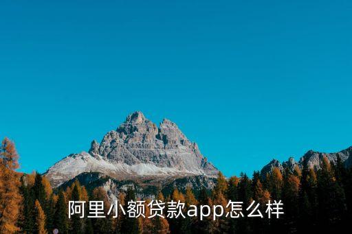 阿里小額貸款app怎么樣