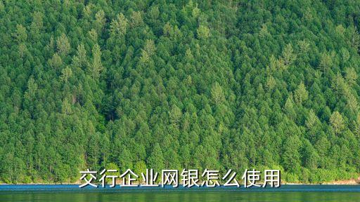 交行企業(yè)網(wǎng)銀怎么使用