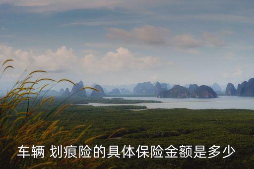 車輛 劃痕險的具體保險金額是多少