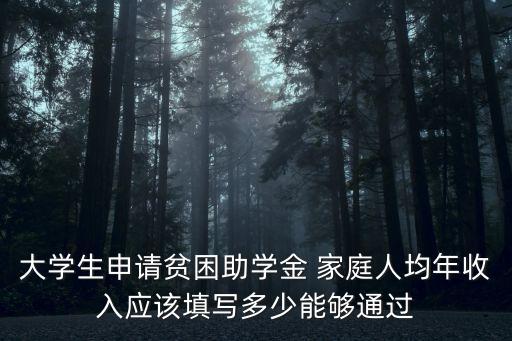 大學(xué)生申請貧困助學(xué)金 家庭人均年收入應(yīng)該填寫多少能夠通過
