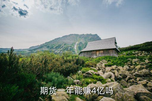  期貨一年能賺4億嗎