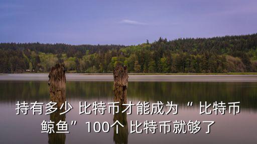 比特幣一共有多少個,全世界一共有多少比特幣