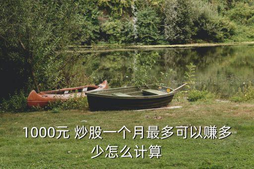 1000元 炒股一個月最多可以賺多少怎么計算