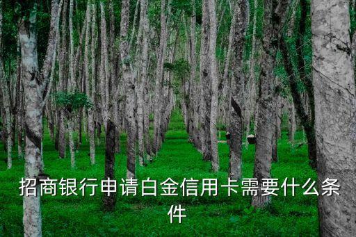 招商銀行申請白金信用卡需要什么條件