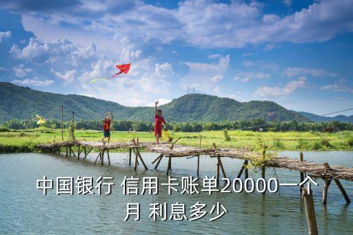 欠信用卡2萬利息多少,信用卡欠20萬無力償還怎么辦