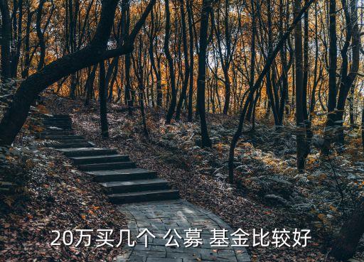 20萬(wàn)買(mǎi)幾個(gè) 公募 基金比較好