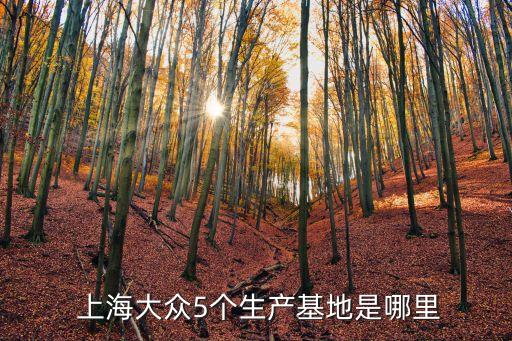  上海大眾5個生產(chǎn)基地是哪里