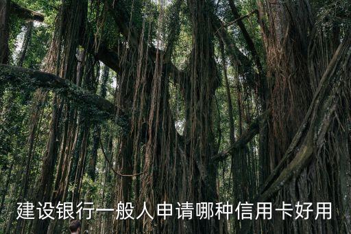 建設(shè)久光普卡免費多少