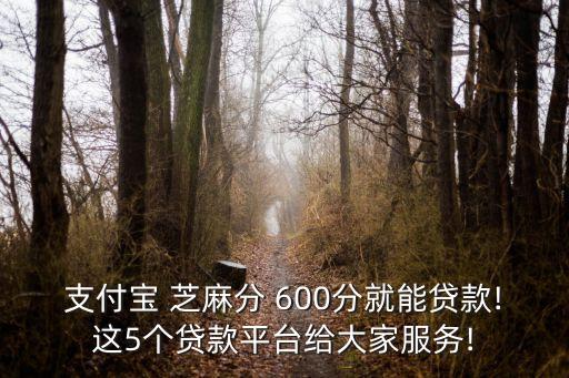 芝麻600分能借多少錢(qián),600芝麻信用額度多少