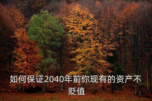 如何保證2040年前你現(xiàn)有的資產(chǎn)不 貶值