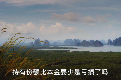 持有份額比本金要少是虧損了嗎