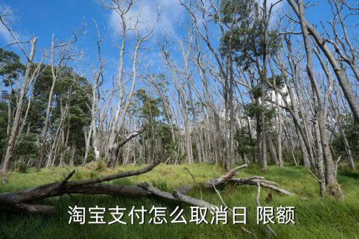  淘寶支付怎么取消日 限額