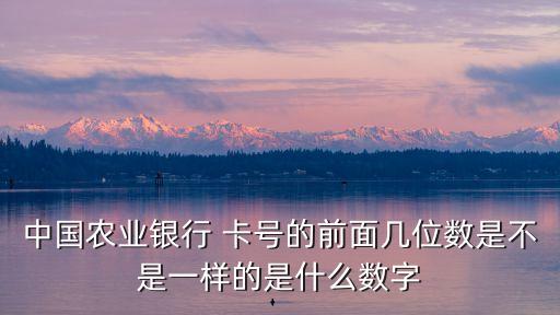 中國農(nóng)業(yè)銀行 卡號的前面幾位數(shù)是不是一樣的是什么數(shù)字