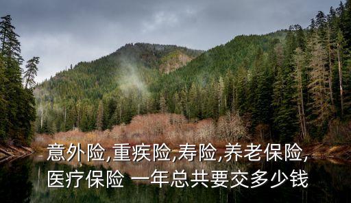 醫(yī)療意外險(xiǎn)多少錢一年,手術(shù)醫(yī)療意外險(xiǎn)多少錢