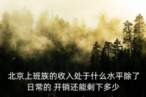  北京上班族的收入處于什么水平除了日常的 開銷還能剩下多少
