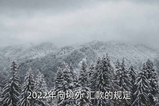 一年可以收多少國際匯款,國際生費用一年大概多少
