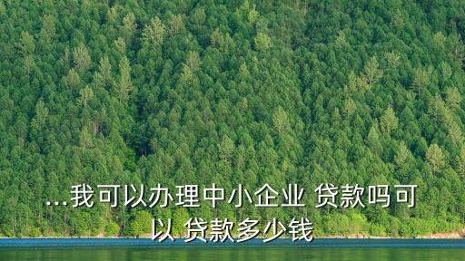 有限公司如何貸款多少合適