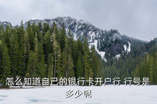 怎么知道自己的銀行卡開戶行 行號(hào)是多少呢