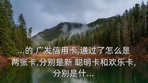 ...的 廣發(fā)信用卡,通過了怎么是兩張卡,分別是新 聰明卡和歡樂卡,分別是什...
