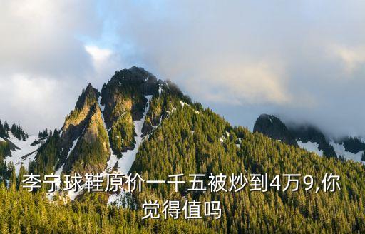 李寧球鞋原價(jià)一千五被炒到4萬9,你覺得值嗎