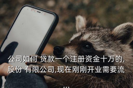 公司如何 貸款一個注冊資金十萬的,股份 有限公司,現(xiàn)在剛剛開業(yè)需要流...
