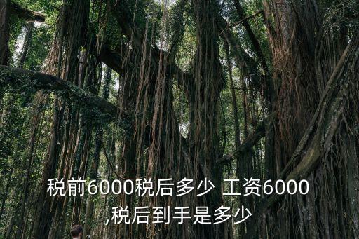 繳稅六千工資多少錢,工資六千需要繳稅嗎