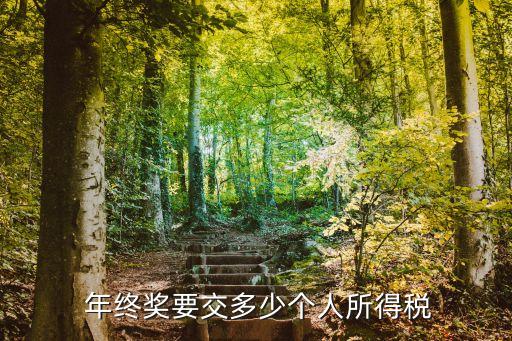  年終獎(jiǎng)要交多少個(gè)人所得稅