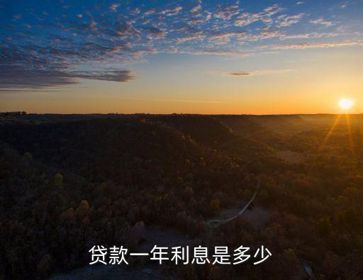 貸款一年利息是多少