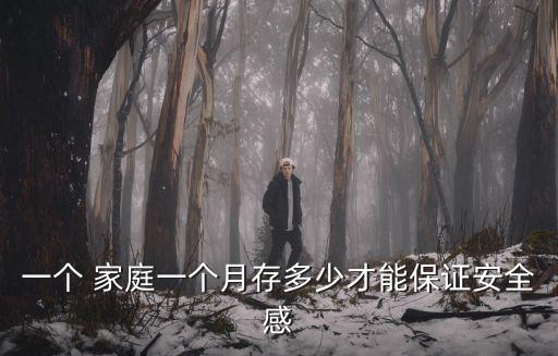 一個 家庭一個月存多少才能保證安全感