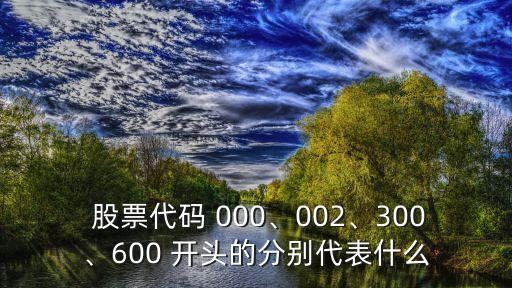 000開頭的股票有多少個,00開頭股票屬于什么版