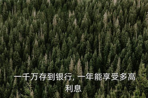  一千萬(wàn)存到銀行, 一年能享受多高利息