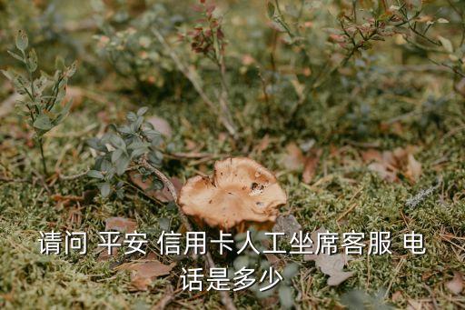 請問 平安 信用卡人工坐席客服 電話是多少
