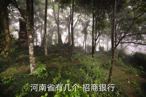 河南省有幾個(gè) 招商銀行