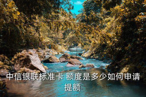 中信銀聯(lián)標(biāo)準(zhǔn)卡 額度是多少如何申請(qǐng)?zhí)犷~