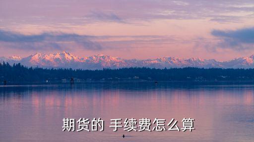 期貨手續(xù)費(fèi)一般多少,期貨傭金和手續(xù)費(fèi)多少
