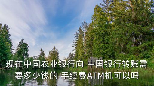 現(xiàn)在中國農(nóng)業(yè)銀行向 中國銀行轉(zhuǎn)賬需要多少錢的 手續(xù)費ATM機可以嗎
