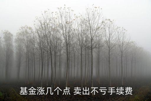  基金漲幾個點(diǎn) 賣出不虧手續(xù)費(fèi)