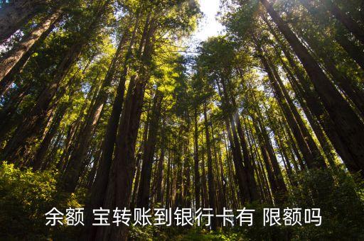  余額 寶轉(zhuǎn)賬到銀行卡有 限額嗎