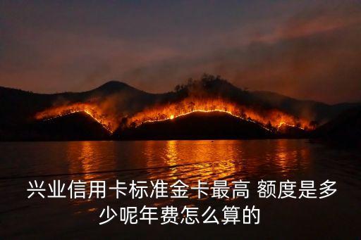 興業(yè)銀行下卡額度是多少錢(qián)